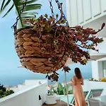 Amazing, Sea Views & Terrace Casa de Férias Santa Úrsula